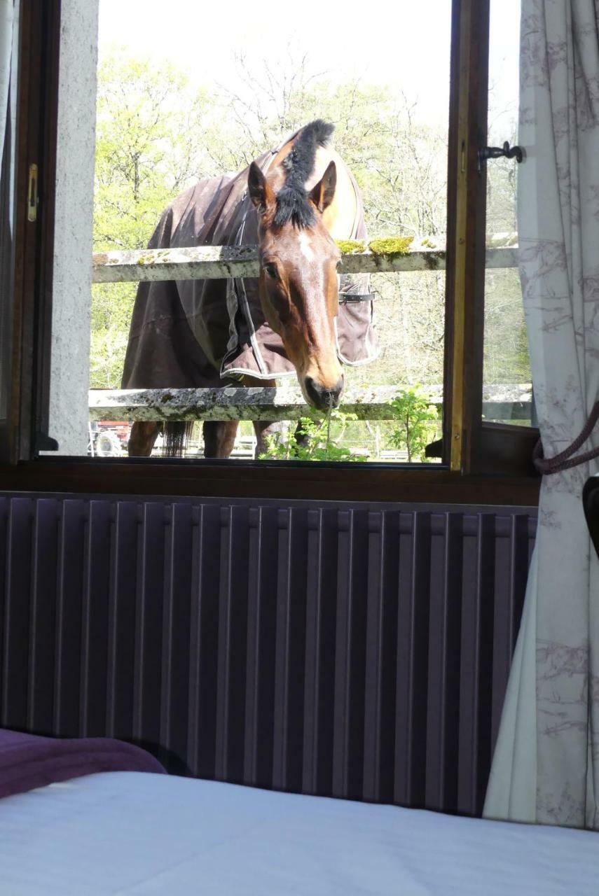 Chambres Et Table D'Hotes Les Machetieres Ланже Екстер'єр фото